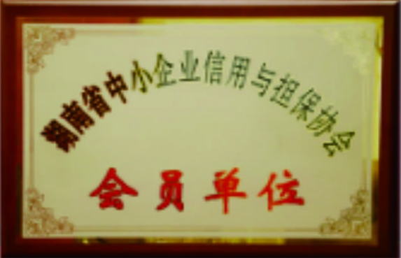 湖南省中小企業(yè)信用與擔(dān)保協(xié)會(huì)會(huì)員單位